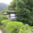 壁と池が良い感じにつながってました