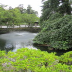 雰囲気は完全に水堀でした