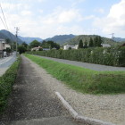 墓地を取り巻く復元土塁