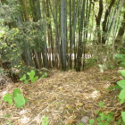 突端は崖端になってます