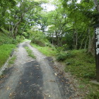 搦手門跡