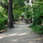土塁の上部。意外に広い。