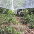内部