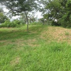 主要部東土塁