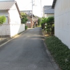 中ツ道