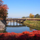 紅葉に映える