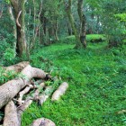 北ノ段の北端から北ノ段・詰を見る