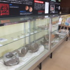 出土品