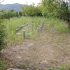 木浦城公園手前の古墳跡