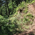 途中の登城路