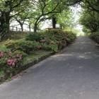 登城路