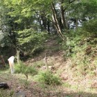 本丸虎口前の堀と土塁