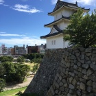 石垣の曲線が美しい