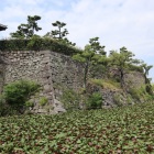 二の丸北側石垣