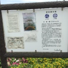 裏の小谷城の説明