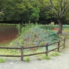 馬出