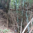 竹藪の向こうに空堀