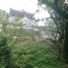 北側から見上げる天守