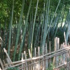 地形的に城っぽい