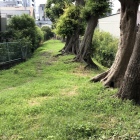 幸田口門土塁