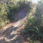 兵糧倉へ続く虎口・土橋(堀は藪で撮影に耐えられず)