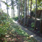 芭蕉の館の裏手にある堀底道