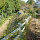 公園化によりリアルさは薄いが、遺構自体はダイナミックです