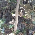 やはり高い場所です。