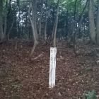 大葉沢城(寺山)土塁