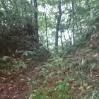 大葉沢城(寺山)虎口