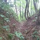 大葉沢城堀切2