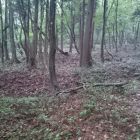 大葉沢城畝状竪堀群3