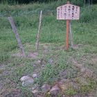 舘山東館出土跡