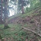 舘山城主郭西側大土塁