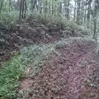 大葉沢城堀切1