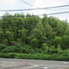 荒坂山砦