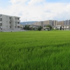 船橋陣屋
