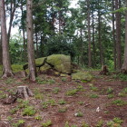 石垣の遺構？？