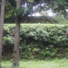 二の丸と温井屋敷の間にある石垣