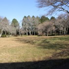 本丸大広場