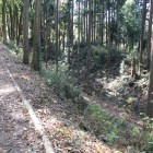 本丸土塁上より２の丸間の横堀を見る