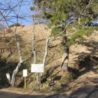 金寿城を下から見上げる