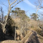中の城から金寿城の間の土橋