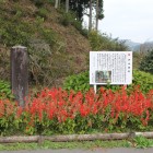路側帯横に在る城名石碑と案内板