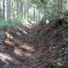 竪堀登城路、土塁