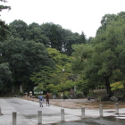 公園入口より尾関山城を望む