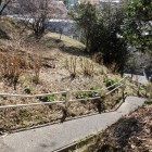登城路上から見る