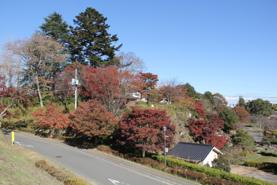 [真岡城] 城びと