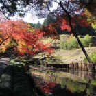 主殿の堀、川