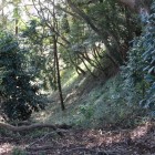 東大手虎口南大堀と土塁